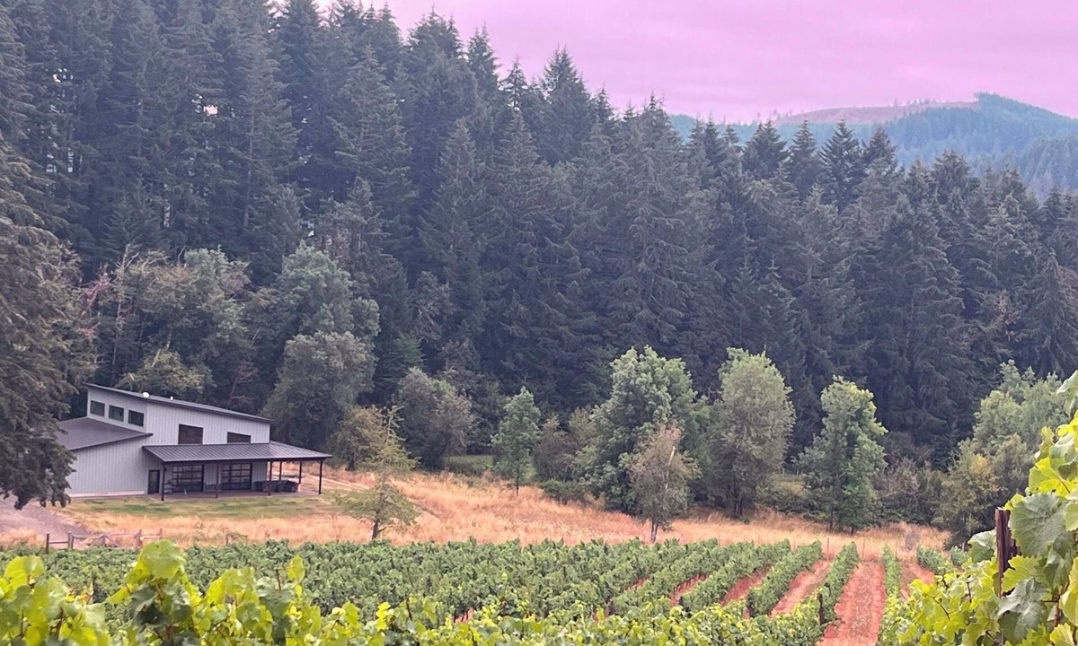 Veneta House | Unwind in Wine Country