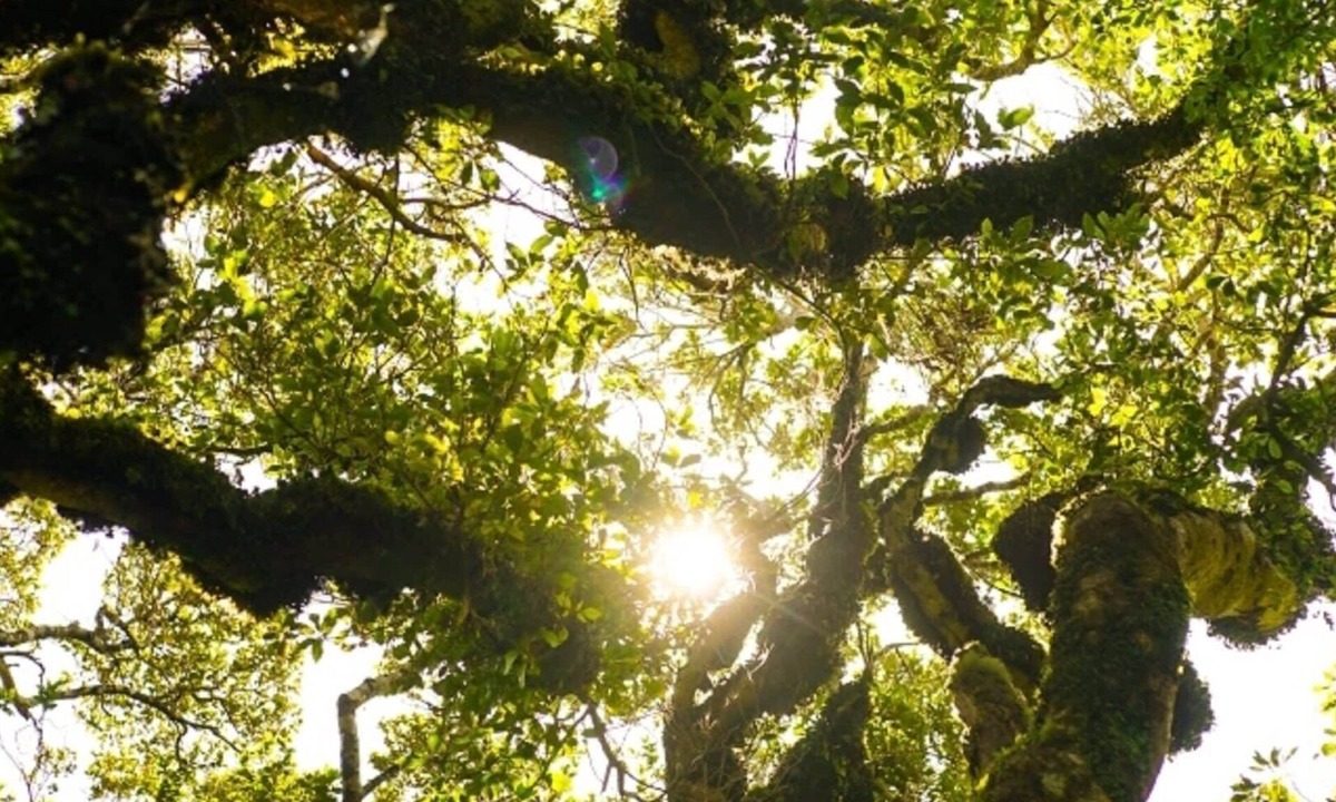 Stratford Apartment | Unwind @ Taranaki Relaxing Eco Suite