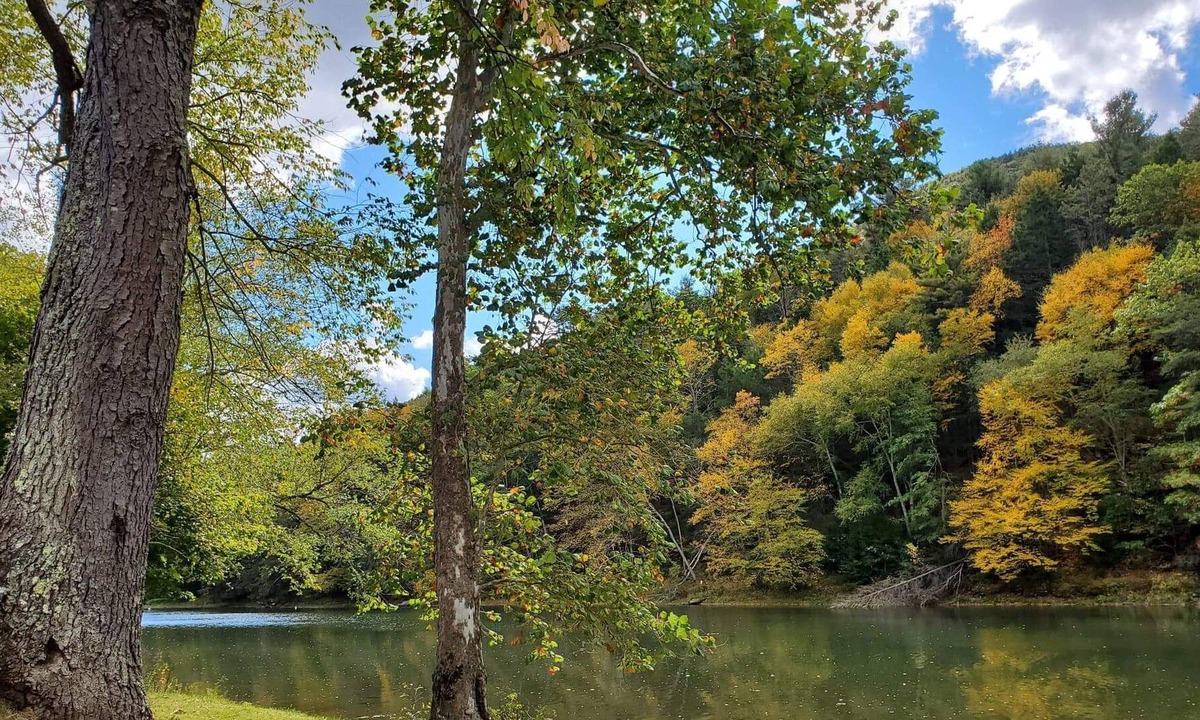 Jersey Mills House | Update fiber optics installed great internet service. Few fall dates left.