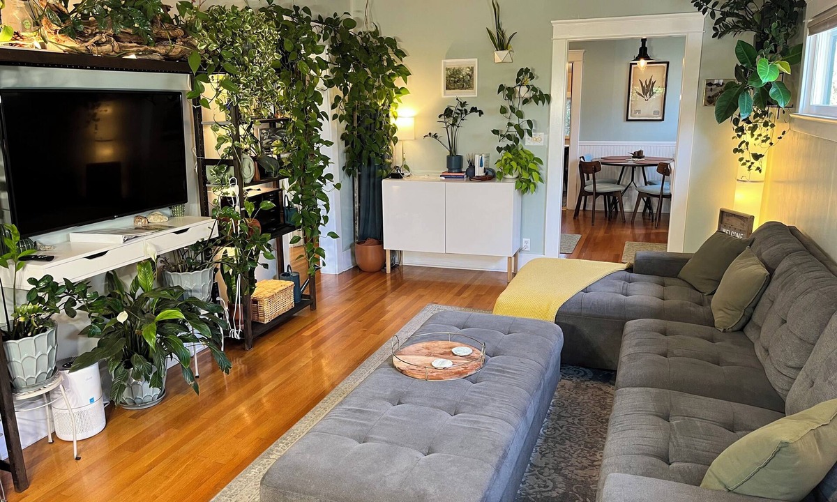 North Park House | Urban Greenhouse