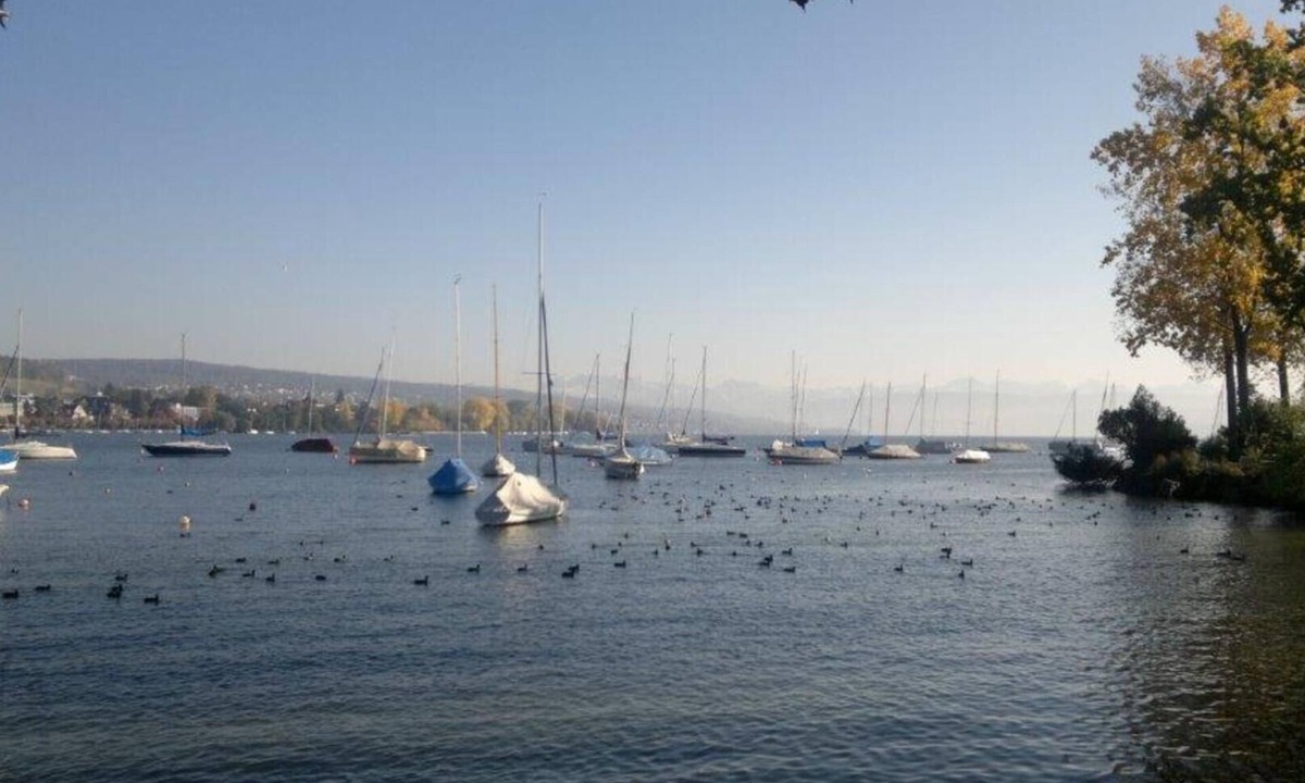 Wollishofen Apartment | Urban Oasis: Lakefront Luxury Living, Zurich Villa 1001