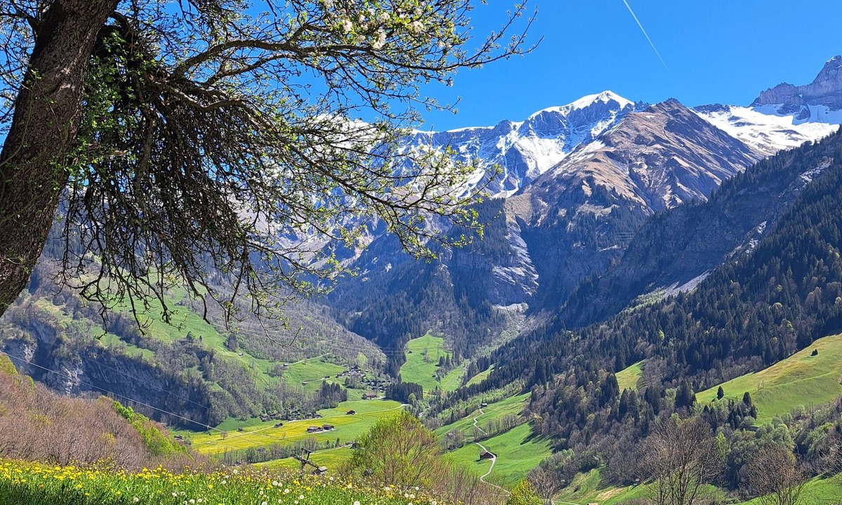 Elm House | Uriges Chalet, Ideal für Familien und Gruppen bis 6 Personen