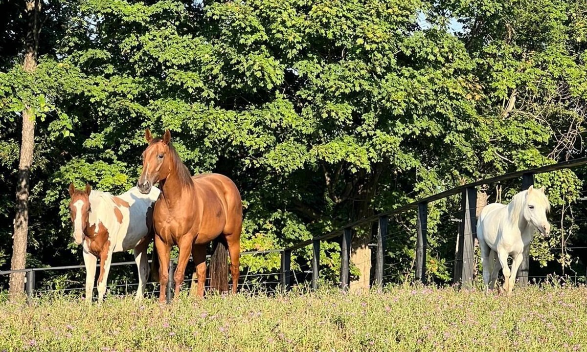 Beaverdam Lake-Salisbury Mills House | Cozy Getaway on a 50 Acre Historic Ranch