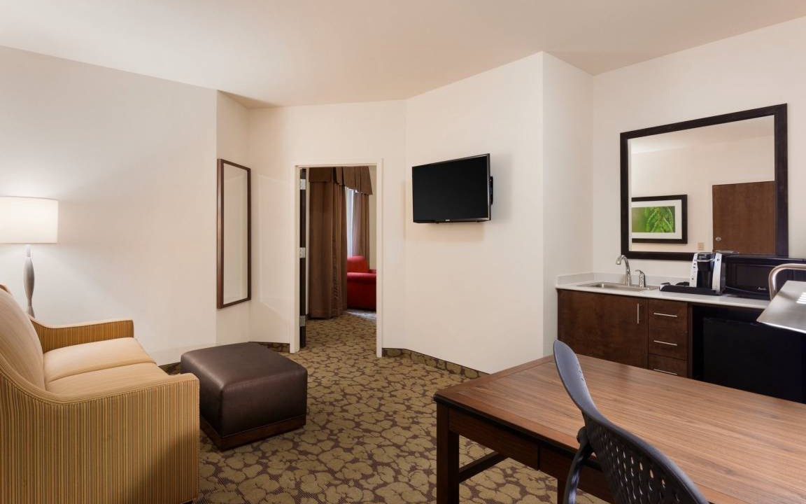 Central Business District Hotel | Hilton Garden Inn Rochester Downtown 1 King Accessible Suite With Bathtub