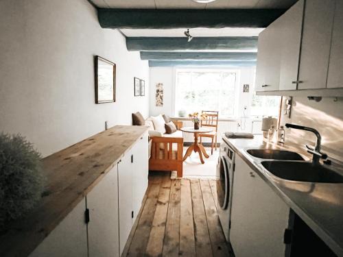 Ringkobing Apartment | Völlige Ruhe mitten in der Natur