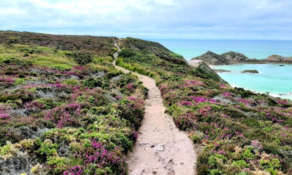 Erquy House | Vacances sur le Cap D'erquy