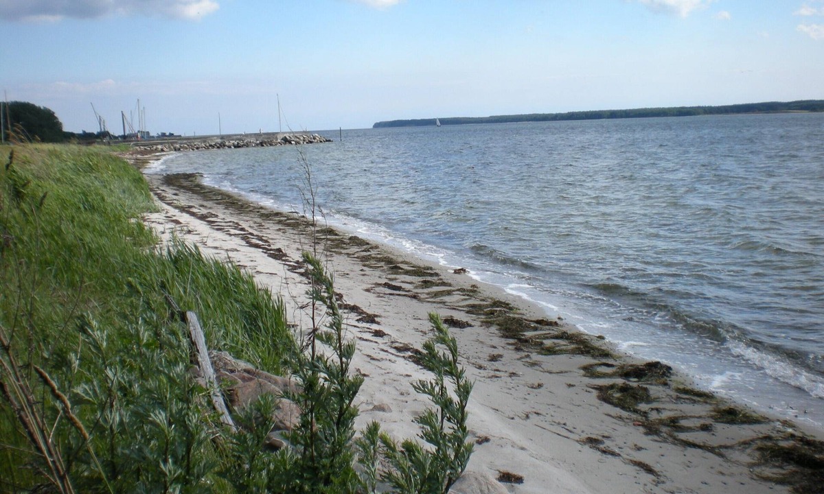 Askeby House | Vacation home close the forest and beach