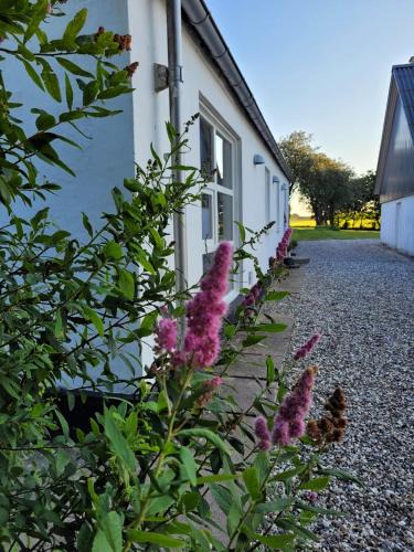 Aars House | Vakantiewoning Denemarken