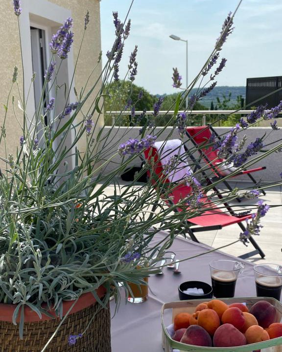 Neffies House | Val des Bruyères - Gîte 4 étoiles calme et confortable à 15 mn de Pézenas