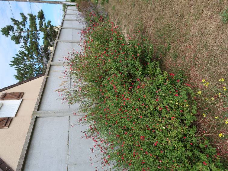 Denneville Apartment | Valentina