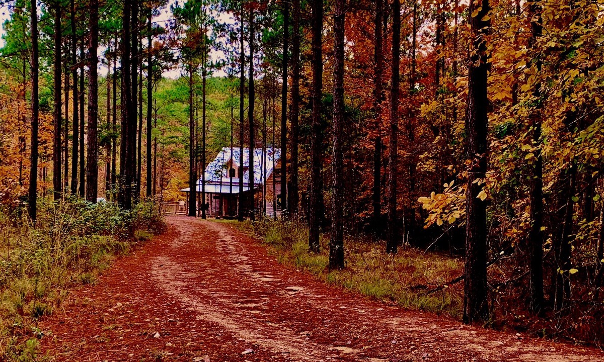 Mentone Cabin | VALKYRIE Secluded Romantic River Cabin River and Mountain Views Log/Stone Cabin