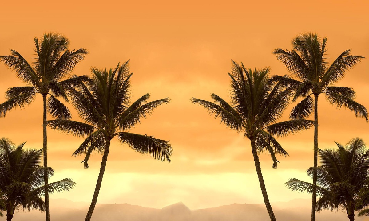 Port Charlotte House | Van Nuys - Vacation Home