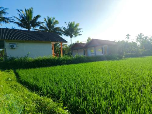 Tetebatu House | Vaniglia House Tetebatu