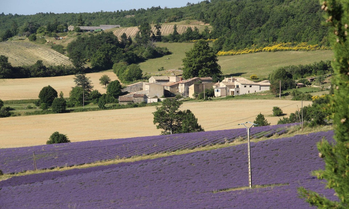 Sault House | Ventoux Lavandes Velos *