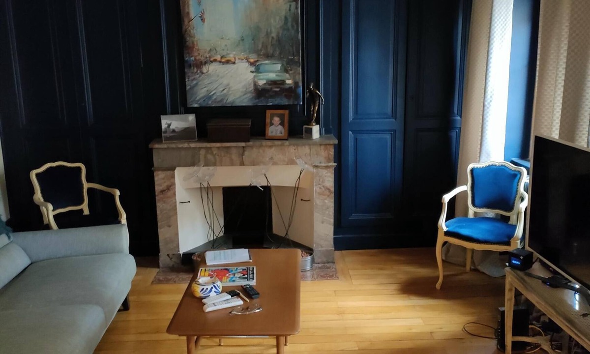 Villefranche-sur-Saone Apartment | very nice apartment downtown