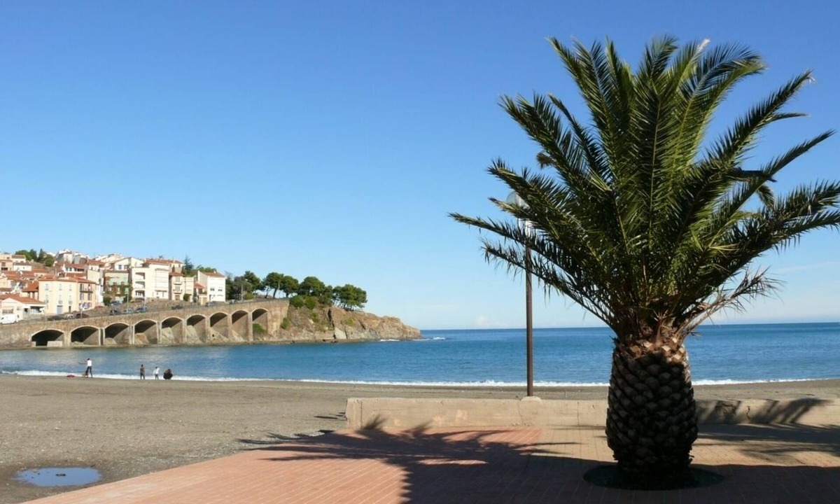 Banyuls-sur-Mer Apartment | Very nice duplex 60 m2 150 m from the central beach and close to shops