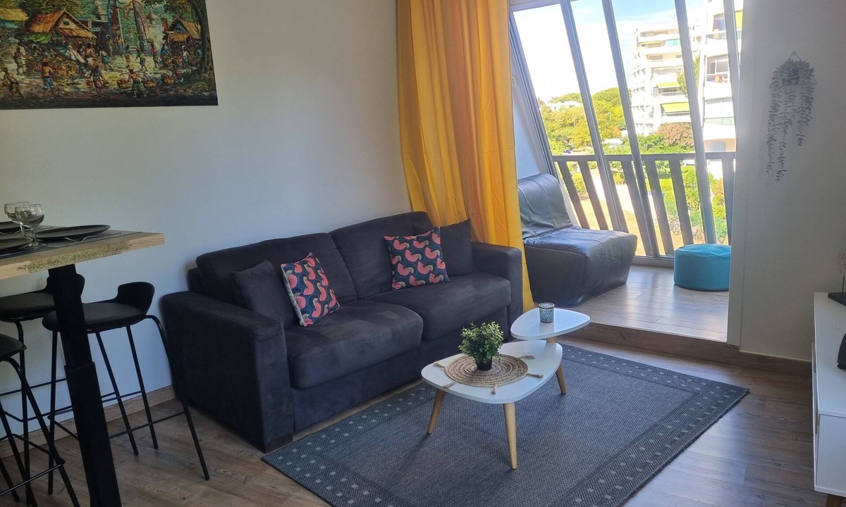 La Petite Motte Apartment | Very nice T2 40m2 + 45m2 terrace