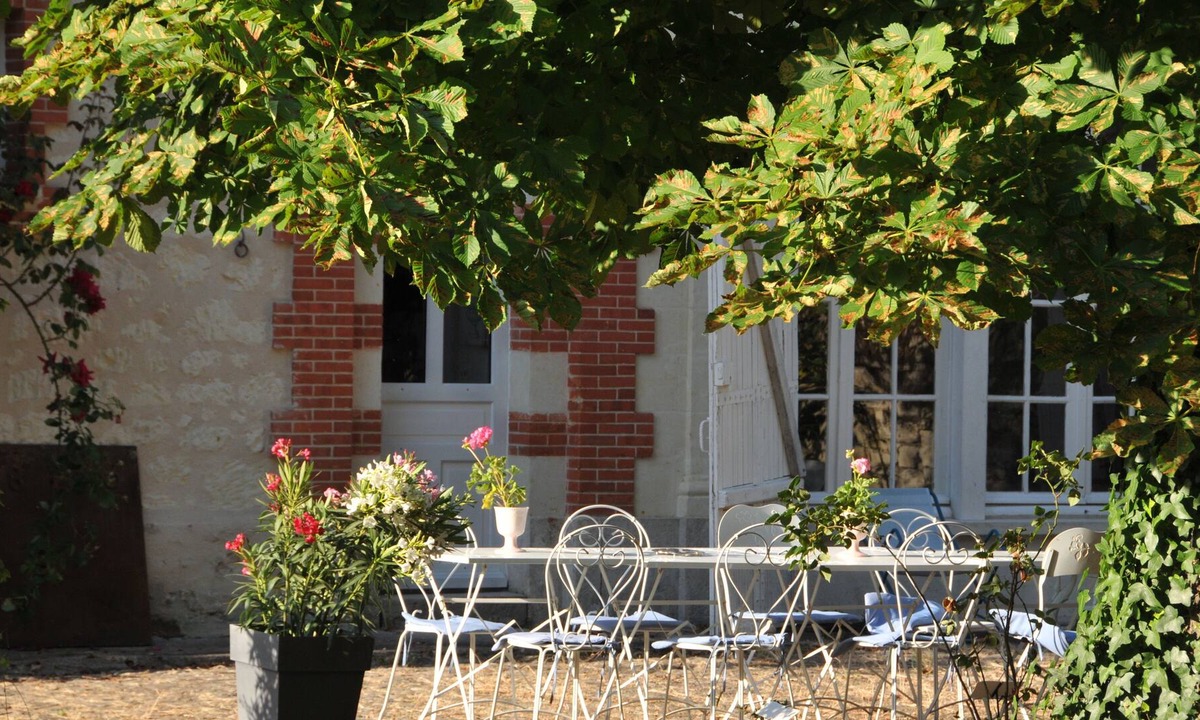 Brain-sur-Allonnes Other | Very spacious GITE 8-12 people in the courtyard of the Château