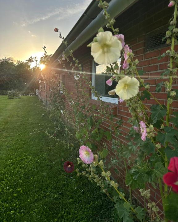 Nykobing Mors Bed & Breakfast | Vestervang bed and NO breakfast