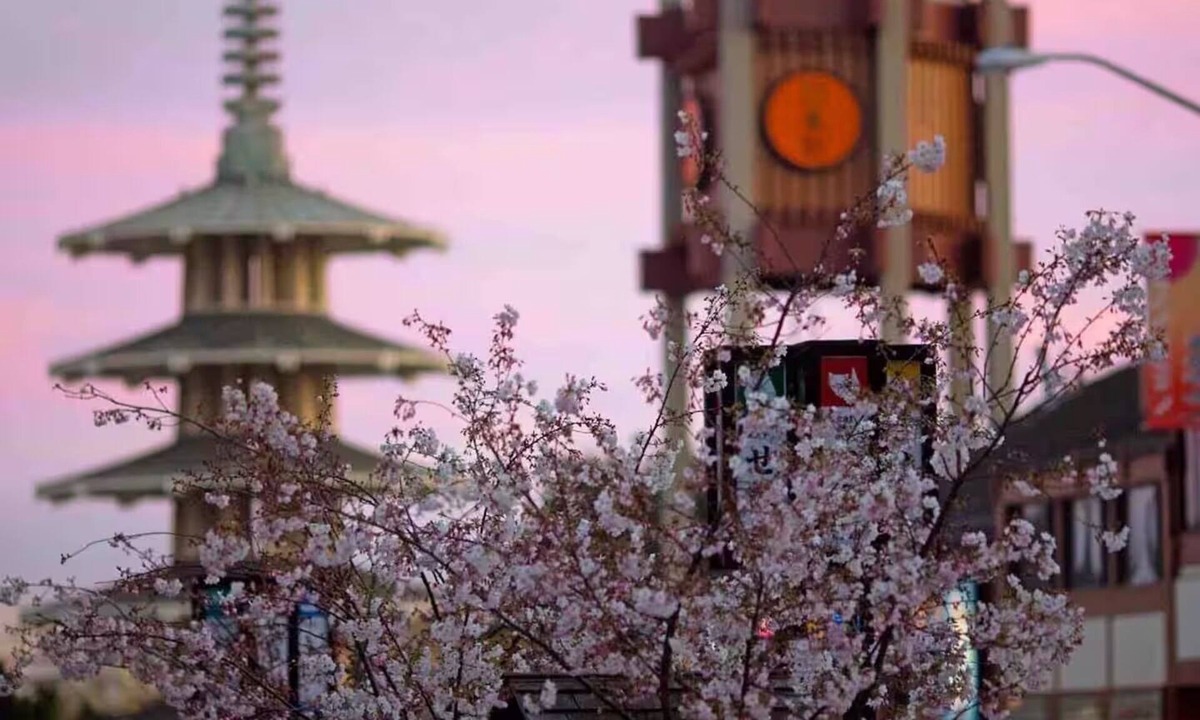Japantown House | Victorian in Japantown