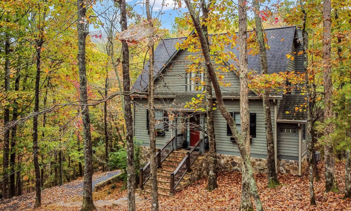 Big Canoe Cabin | View from the Canoe | Resort Access, Views & Games