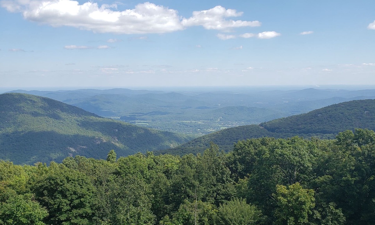 Chestnut Springs Condo | View from the Top