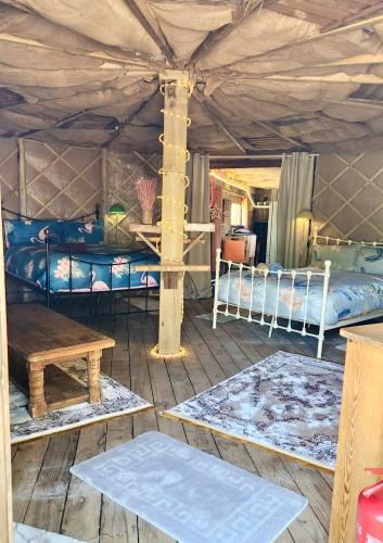 Fairseat House | Vigo Retreat Boat yurt