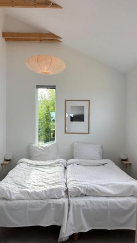 Klitmoller Bed & Breakfast | Viking Surf & Stay
