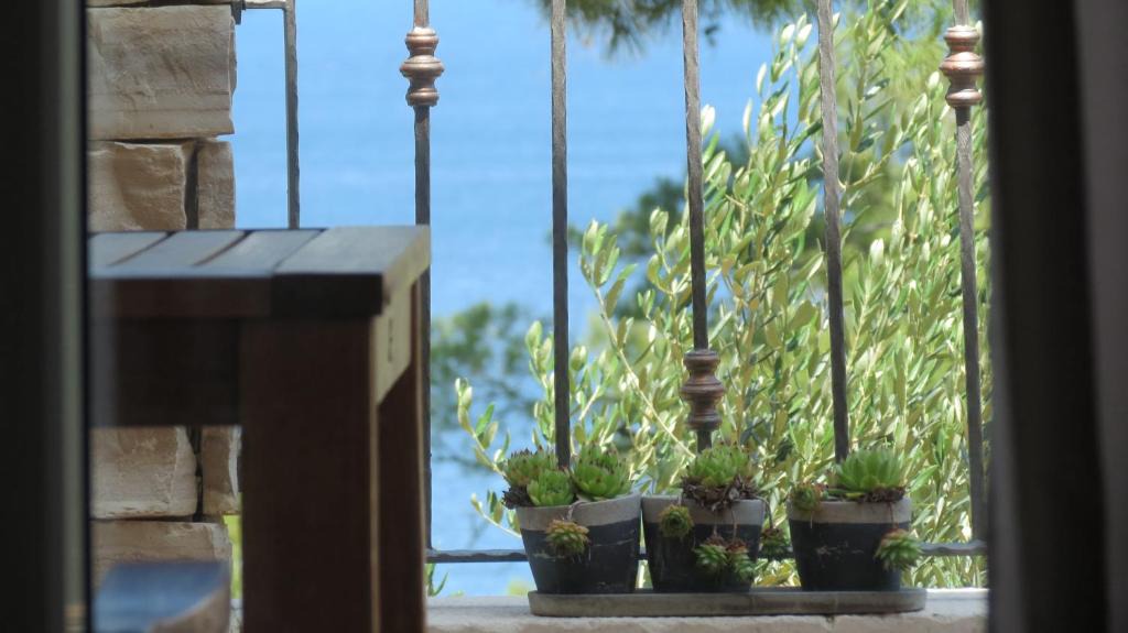 Vrbanj House | Vila Familia Hvar