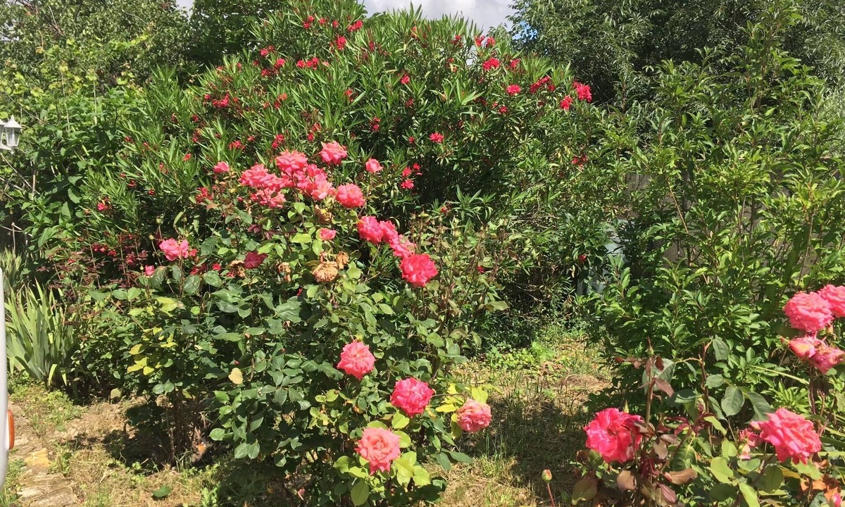 Saint-Saturnin-les-Avignon Villa | Villa Spacieuse Avec Piscine Privée Dans Joli Village Provençal