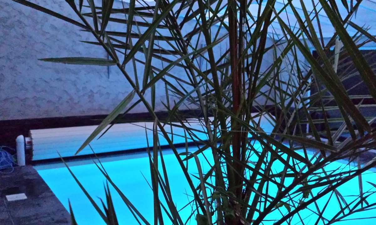 Devant-les-Ponts Villa | Villa Alba