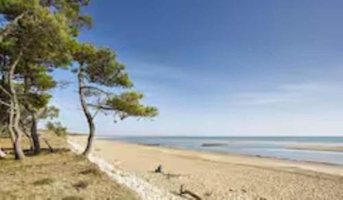 Longeville-sur-Mer Villa | Villa Albert