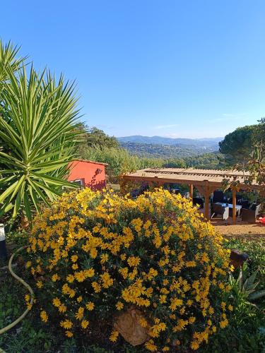 Les Adrets-de-l'Esterel Bed & Breakfast | Villa Alexandra