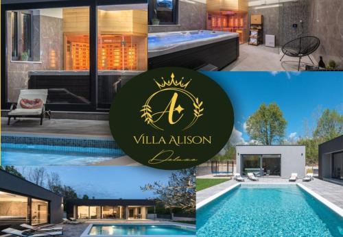 Zupanici Villa | Villa Alison Deluxe Junior with private spa and heated swimming pool