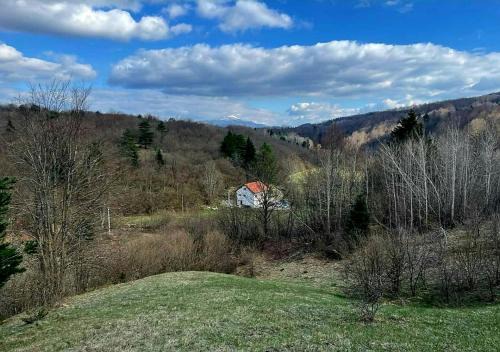 Plitvica Selo Apartment | Villa Andjelija