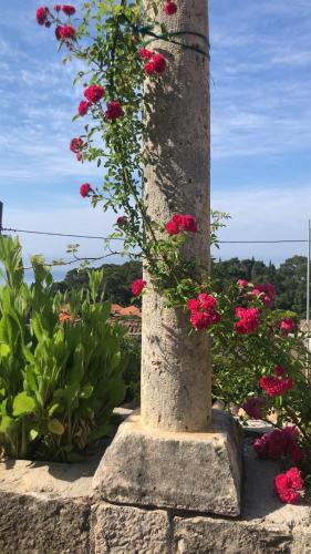 Pile House | Villa Anica Dubrovnik - luxurious with a sea view