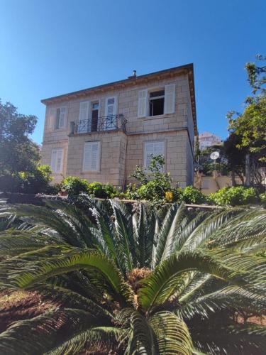 Babin Kuk Apartment | Villa Arancia