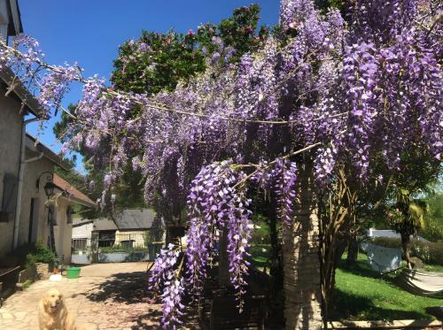 Parbayse House | Villa Arja