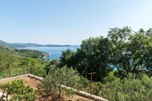 Mlini House | Villa Barbara