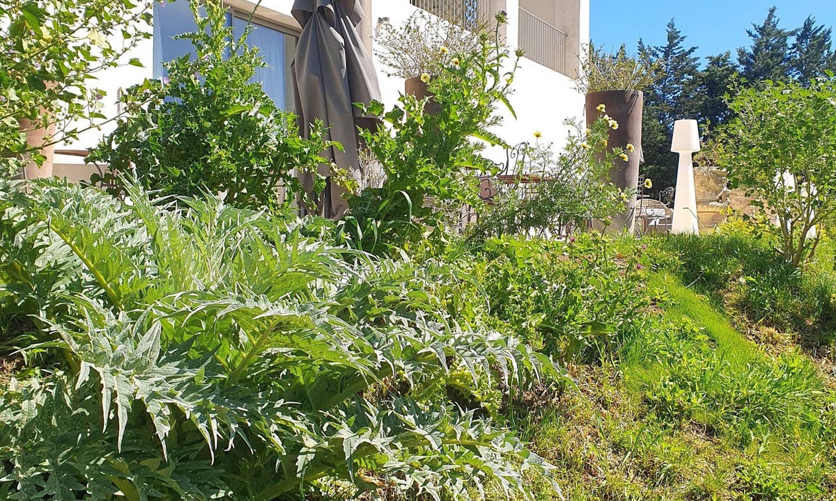 Arles House | Villa Blanche