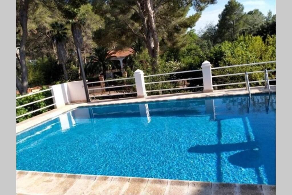 Alzira Villa | Villa Célia Alzira
