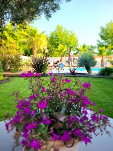 Gujan-Mestras Apartment | Villa CAPAYAN