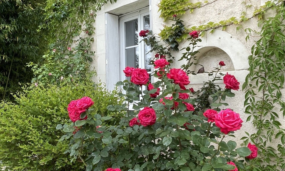 Esvres House | Villa Cassandre