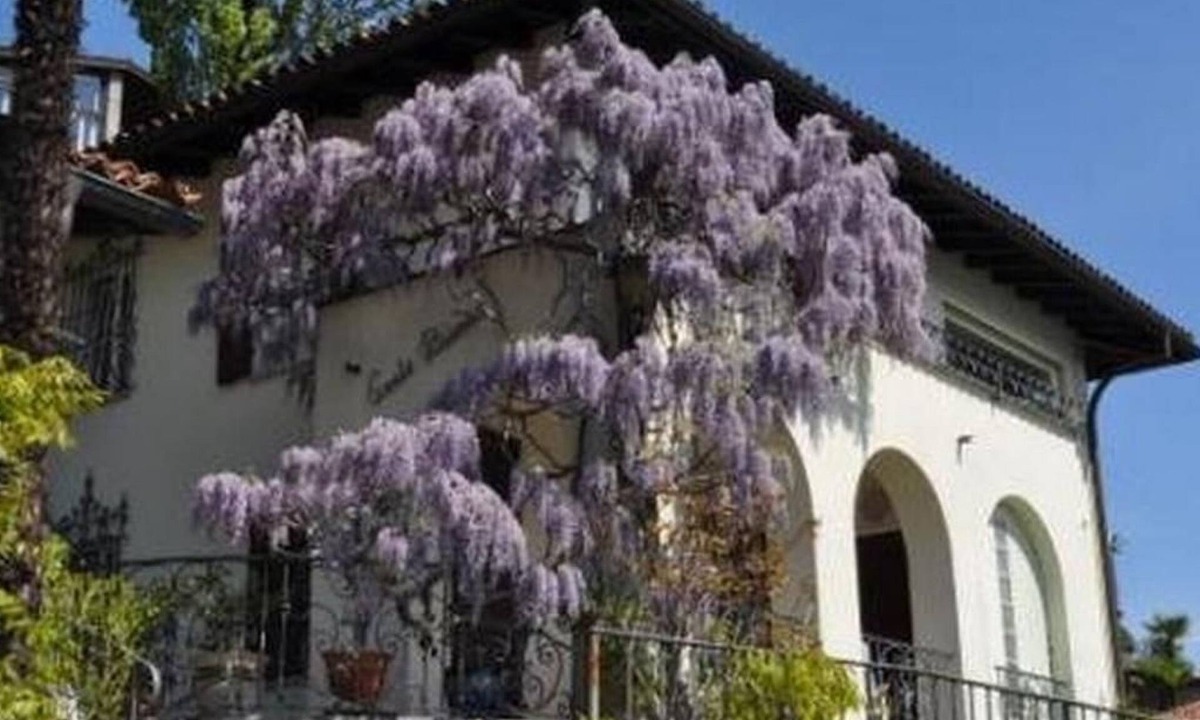 Ronco sopra Ascona House | Villa Cresta Bianca by Interhome