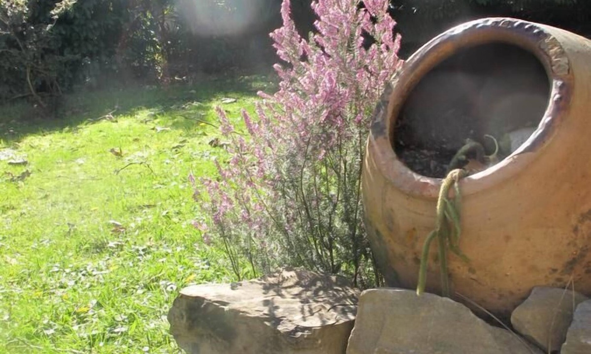 Dufau-Tourasse House | Villa Dampierre