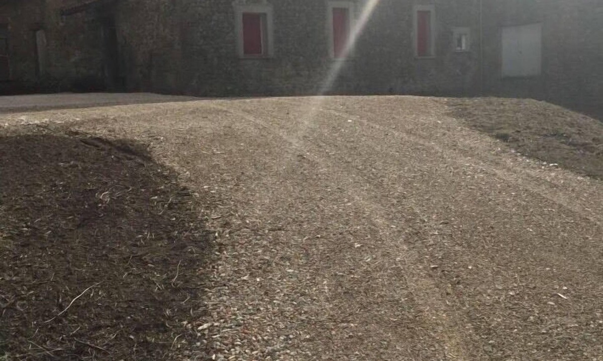 Comps House | Villa.