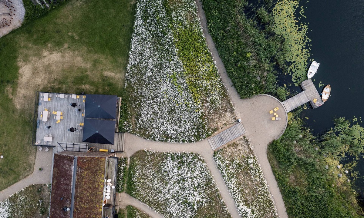 Borre Apartment | Villa Huno