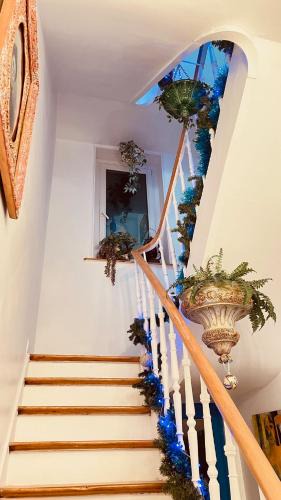 Malo-les-Bains Apartment | VILLA JULIETTE