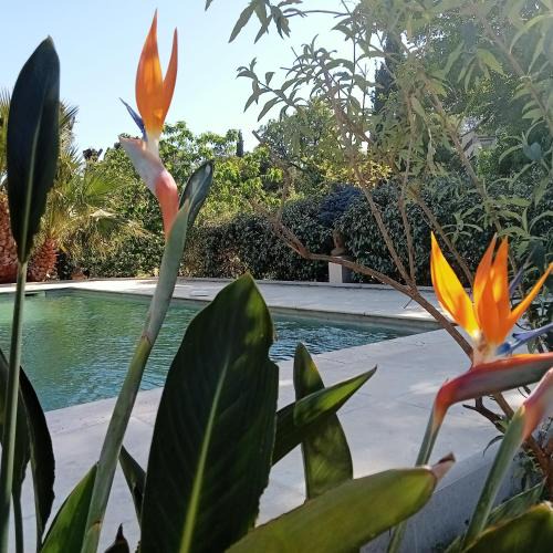 Sainte-Maxime Villa | Villa La Croisette