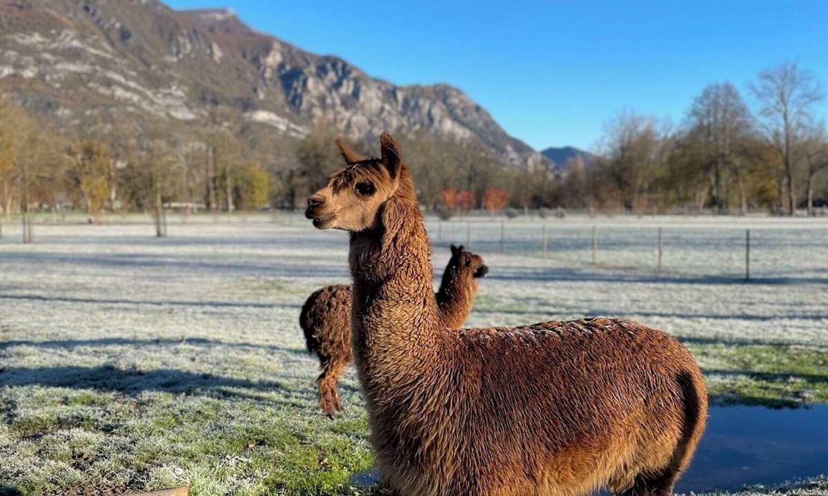 Ayzac-Ost Villa | Villa La Grange .